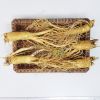 Sâm tươi Hàn Quốc 5 củ 1 kg