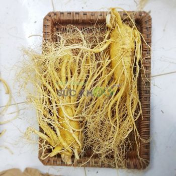 Sâm tươi Hàn Quốc 2 củ 1 kg