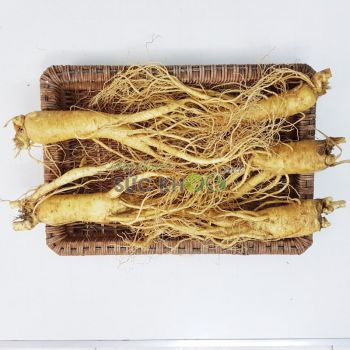 Sâm tươi Hàn Quốc 5 củ 1 kg