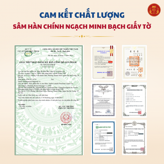 Nước linh chi táo đỏ Daedong Jujube Linhzhi Premium Liquid 80ml x 30 gói